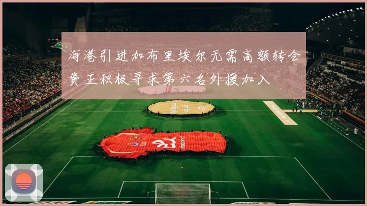 海港引进加布里埃尔无需高额转会费正积极寻求第六名外援加入